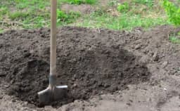 Thumbnail for 'It's still moving': Police investigate teen who buried baby in backyard after taking abortion pill