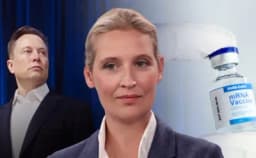Thumbnail for German AfD leader endorsed by Elon Musk vows to ‘hold accountable’ people who caused ‘many vaccine deaths’