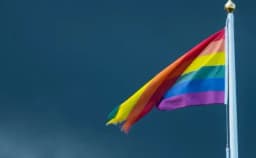 Thumbnail for Democrat-run state capitals adopt official LGBT 'pride' flags to subvert state bans