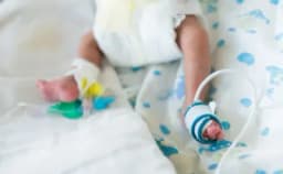 Thumbnail for Florida punishes restraining and abandoning a dog more severely than aborting a baby