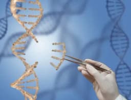 Thumbnail for 'Genetic selection' looks a lot like the 'old' eugenics and must be stopped