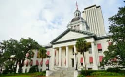 Thumbnail for Florida House passes bill allowing parents to sue over 'wrongful death' of unborn child