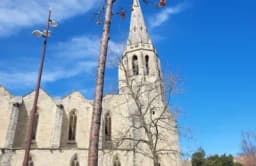 Thumbnail for Another Catholic church attacked by Islamists in disturbing trend across France
