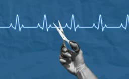 Thumbnail for Illinois lawmaker sneaks assisted suicide language into food prep bill