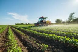 Thumbnail for 3 Chinese nationals caught smuggling potential agricultural bioweapons into US