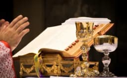 Thumbnail for Charlotte Latin Mass ban is ‘heartless,’ ‘ideological,’ Peter Kwasniewski tells Raymond Arroyo