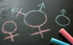 Thumbnail for Catholic college teaches nursing students to give puberty blockers to children